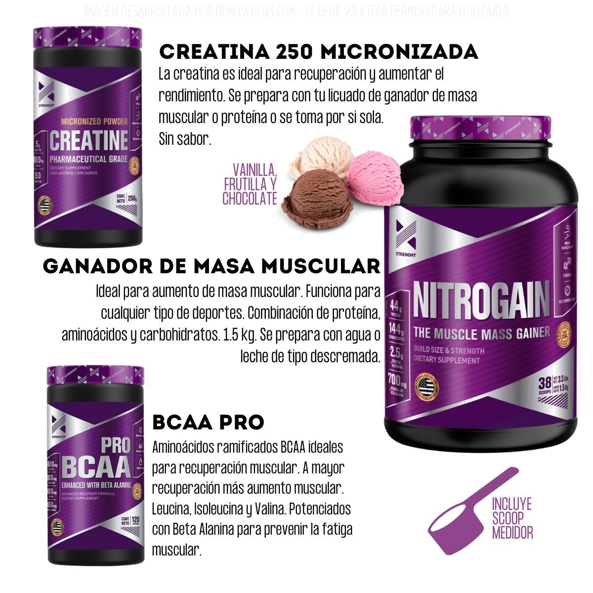 Nitrogain 1 5 Kg Xtrenght Nutrition Bcaa Pro Creatina 250 DeMusculos