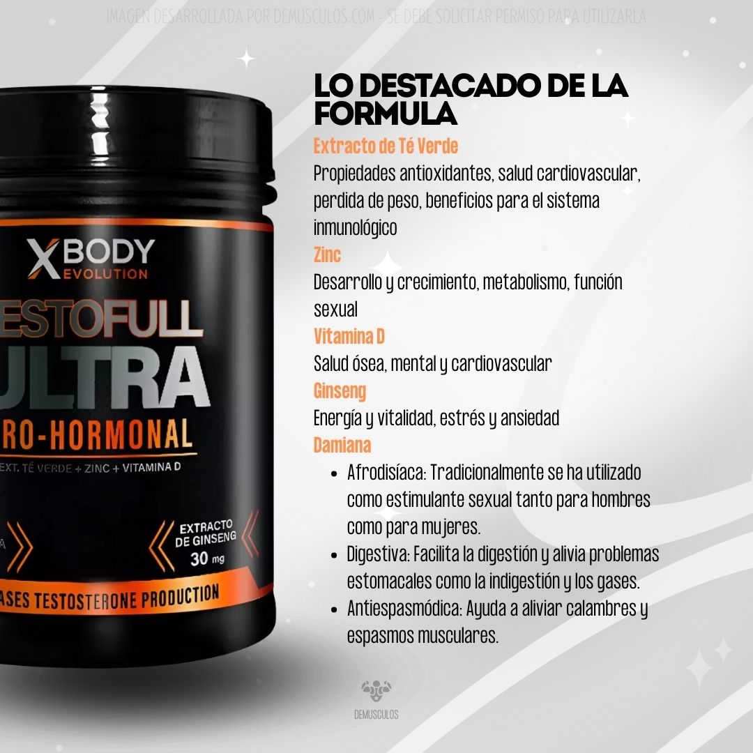 X-Body Testofull 300 grs