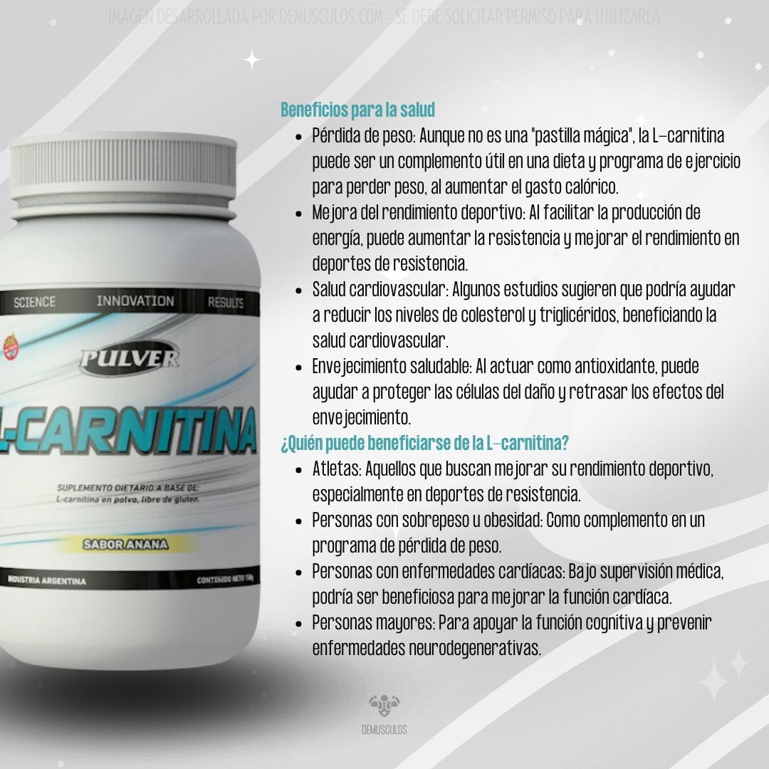 L-Carnitina Pulver 150 grs Anana