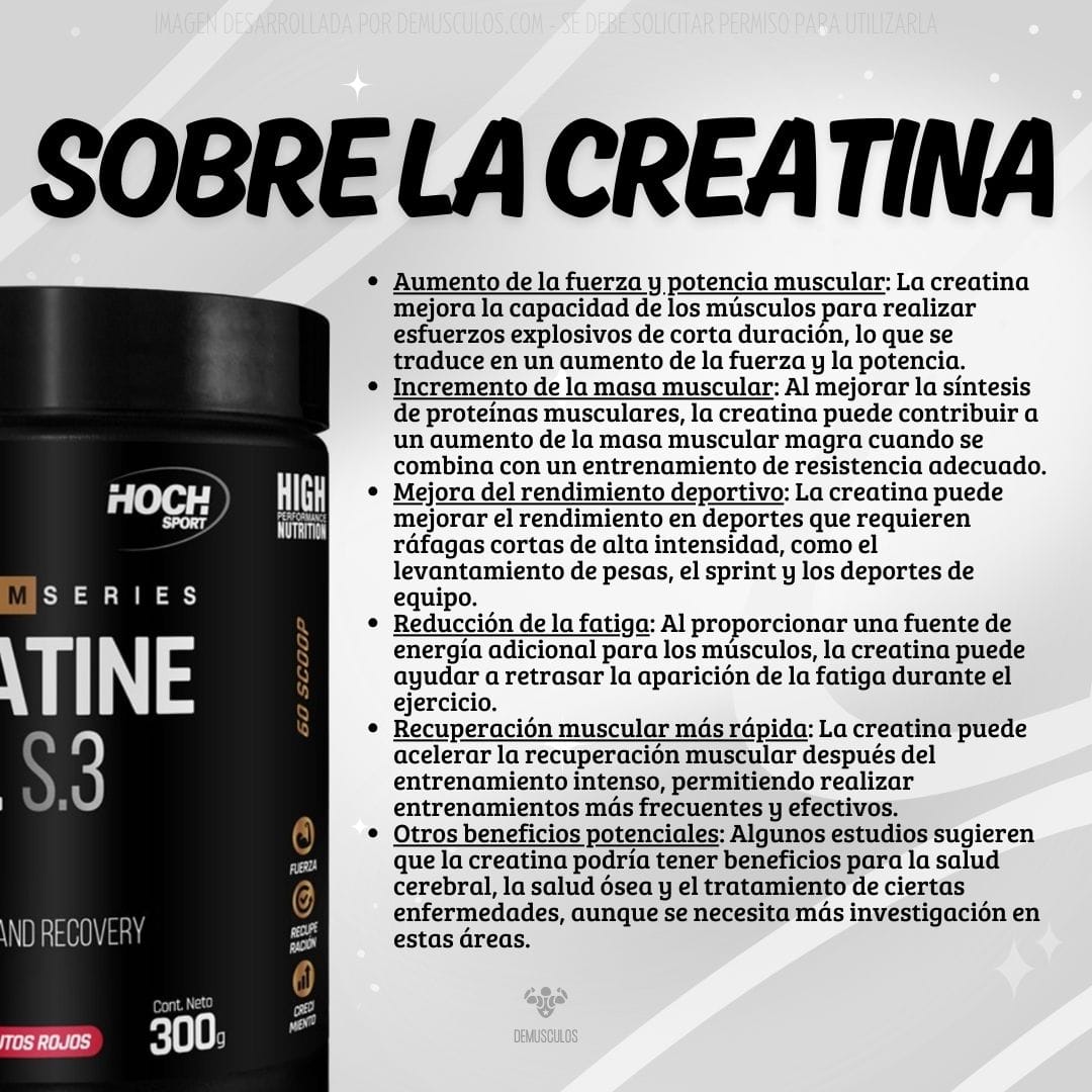 Creatine Cell 300 grs de Hoch Sport