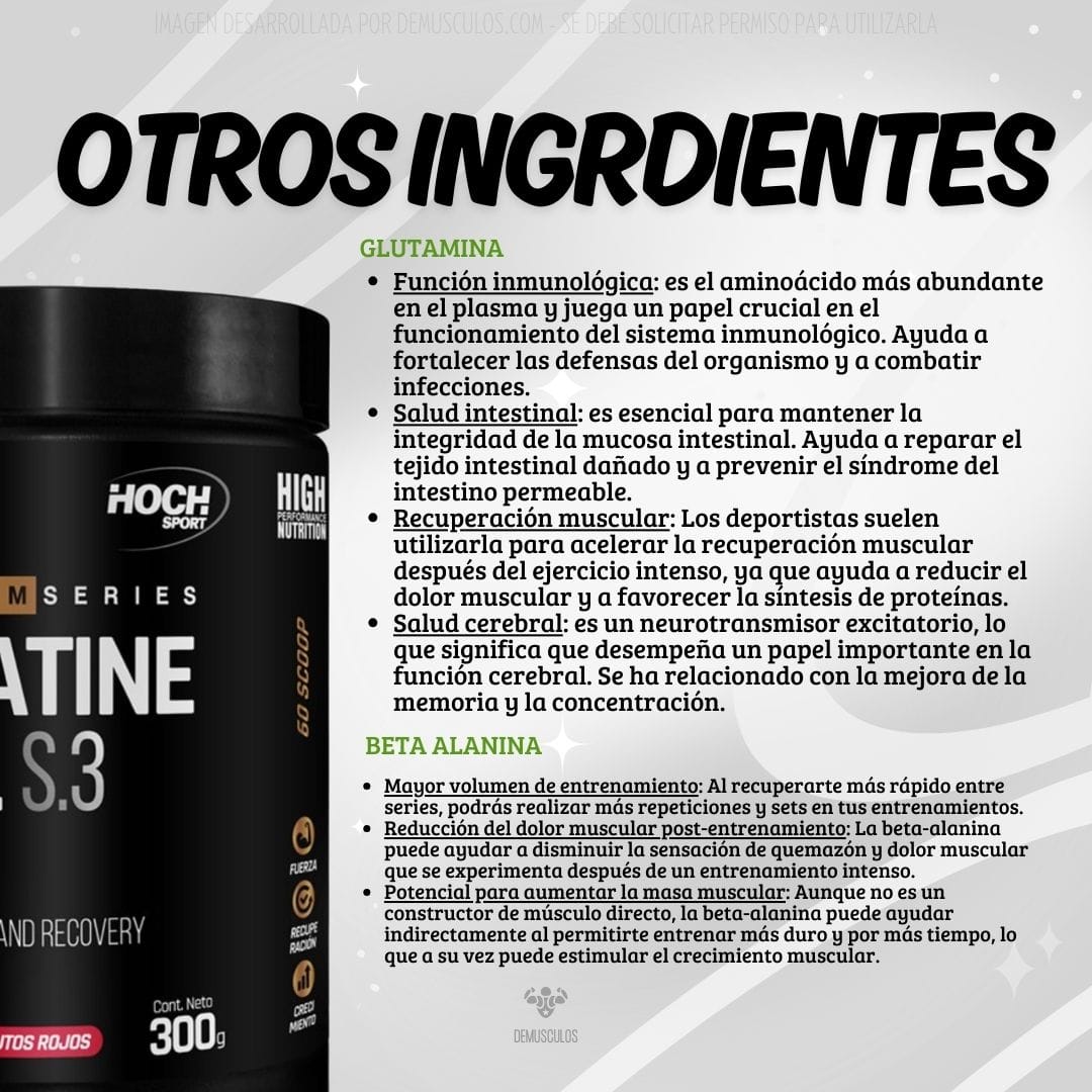 Creatine Cell 300 grs de Hoch Sport