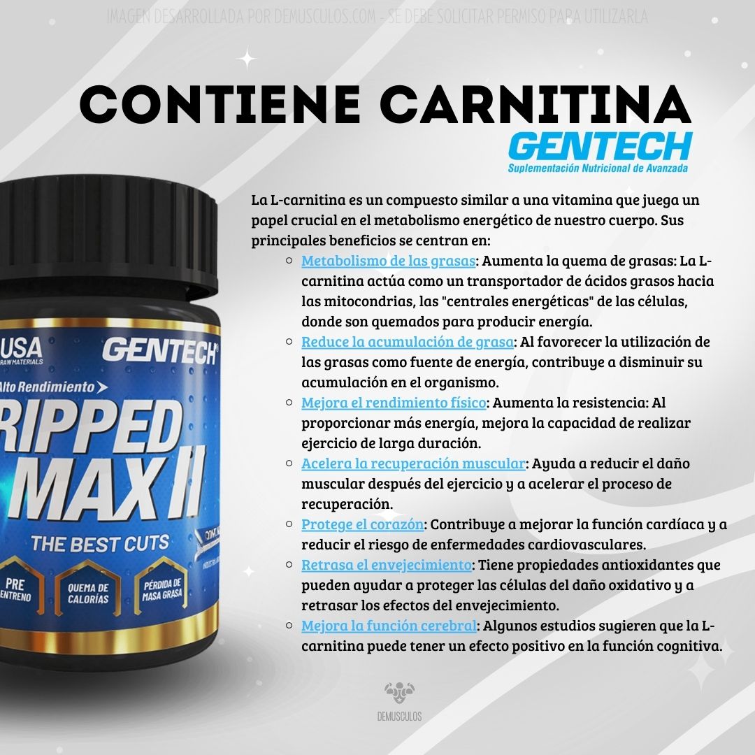 Beneficios de la Carnitina