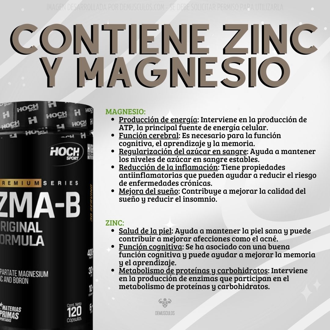 ZMA-B de Hoch Sport