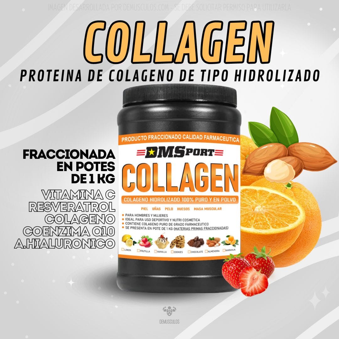 Collagen 1 kg DMS